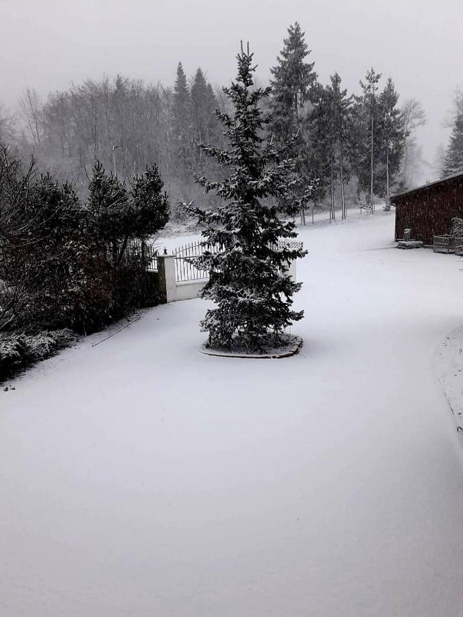 Ferienwohnung Im Westerwald Mengerskirchen Eksteriør billede